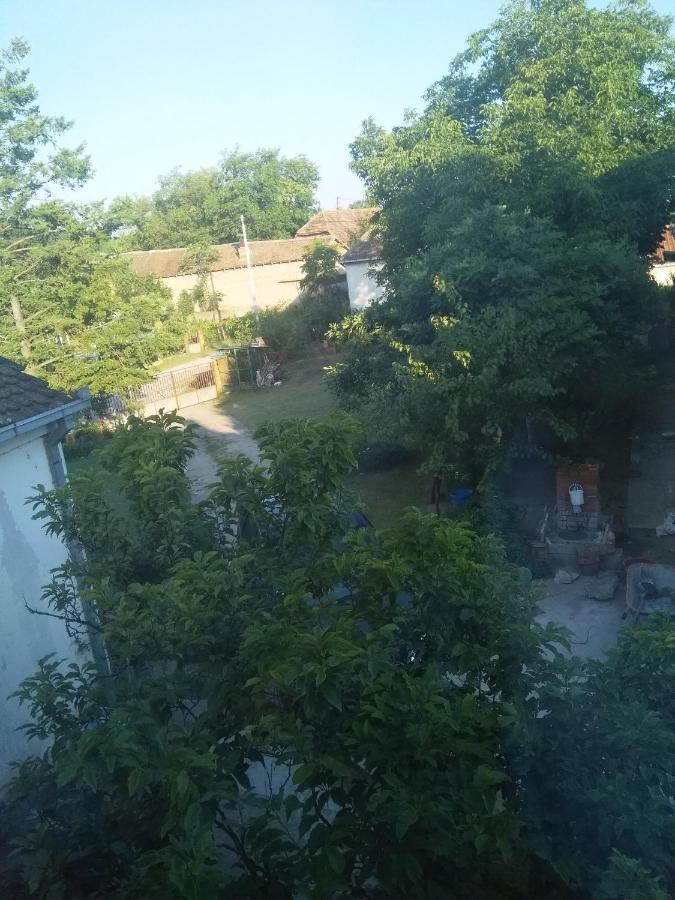 Family Apartman Ana - Star Голубац Екстериор снимка