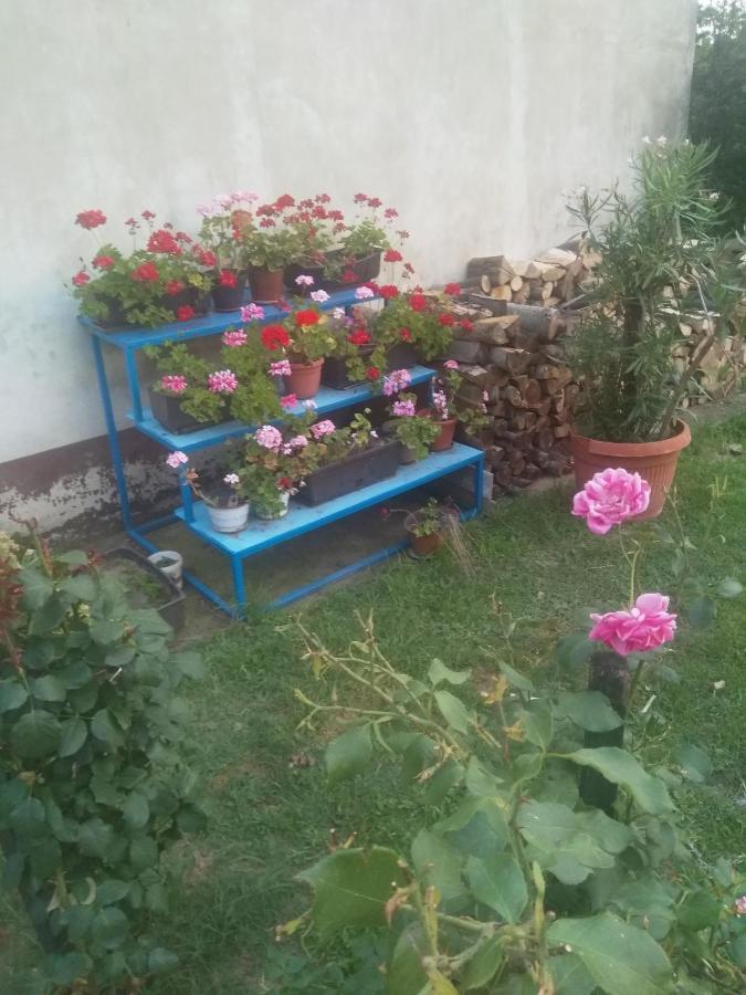 Family Apartman Ana - Star Голубац Екстериор снимка
